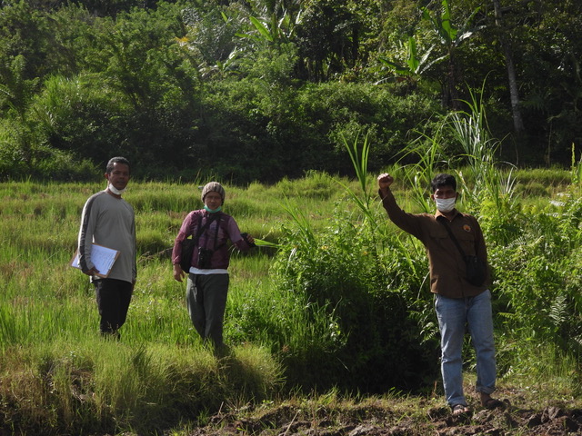 File:BatangToru fieldteam.jpeg