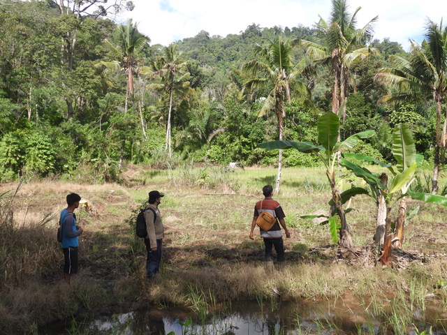 File:BatangToru site.jpeg