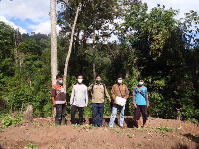 File:BatangToru field.jpeg