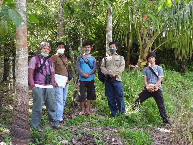 File:BatangToru fieldwork.jpeg