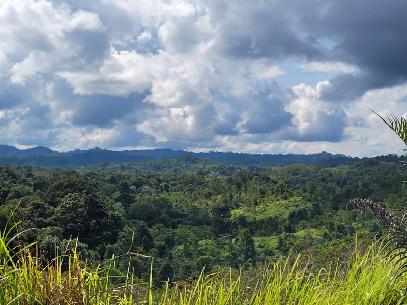 File:20230827 094915.jpg