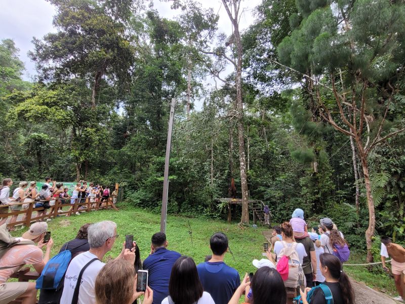 File:Tourists Semenggoh.jpg