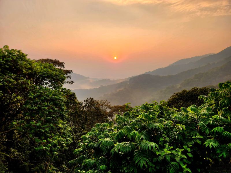 File:Landscape NyungweNP copyright Cyril Grueter.jpg