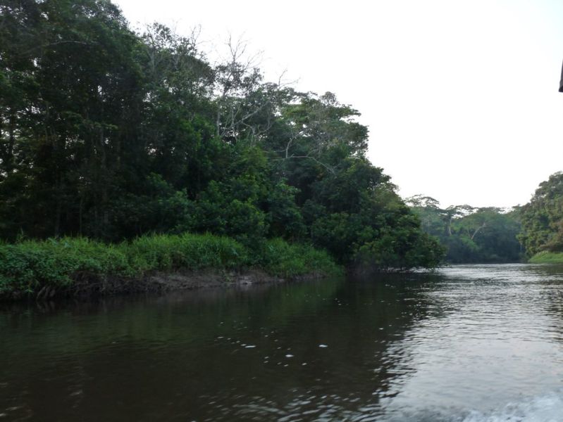 File:Luilaka river.jpg