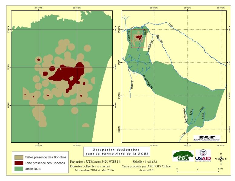 File:Bonobos Distribution.jpg