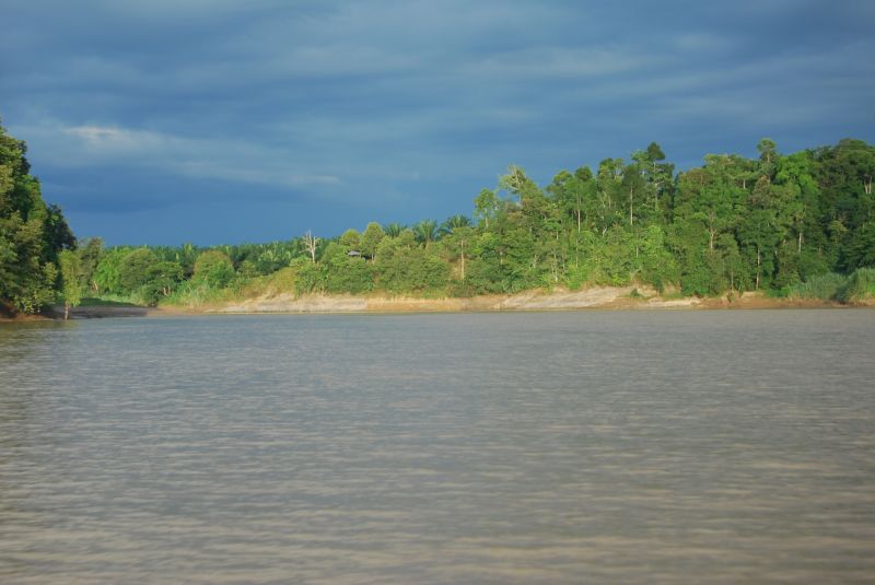 File:Kinabatangan HUTAN.jpg