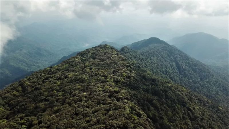 File:Hills JayWhite.jpg