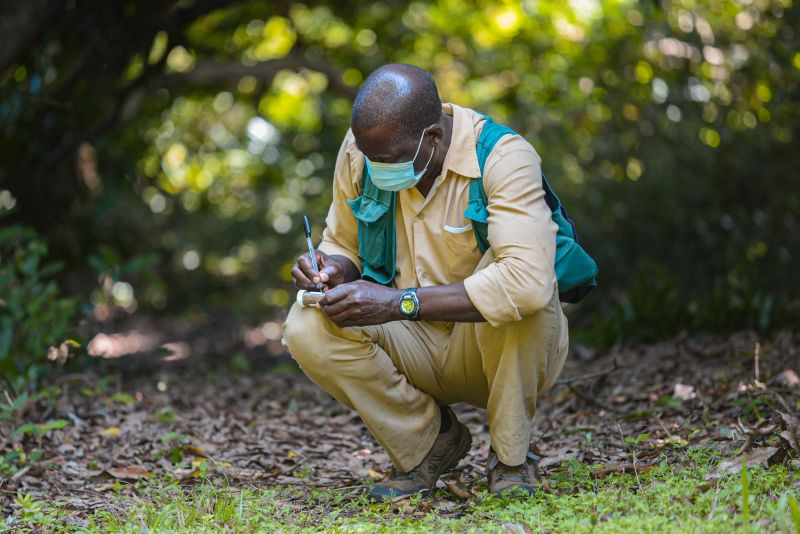File:Researcher Gombe NP.jpg