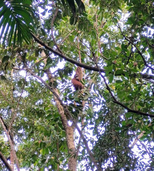 File:20230826 171111 - Copy.jpg