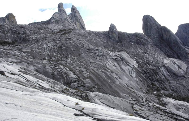 File:Sc Kinabalu rocks HUTAN.jpg