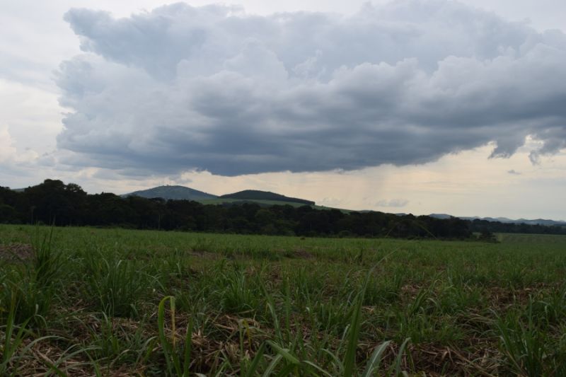 File:Kasokwa Kityedo habitat1.JPG